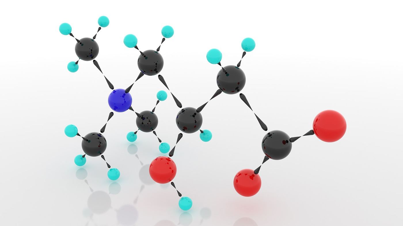 3D ball-and-stick model of the L-carnitine molecule